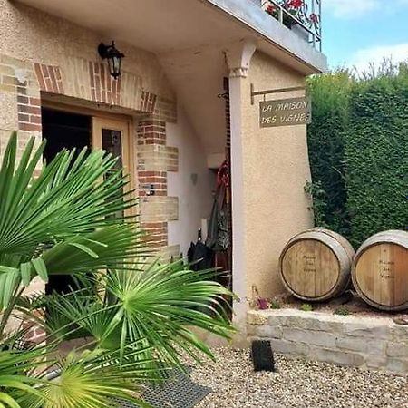 La Maison Des Vignes Charentay Exteriér fotografie