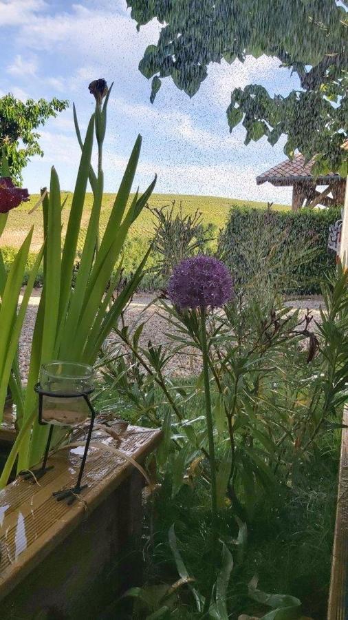 La Maison Des Vignes Charentay Exteriér fotografie