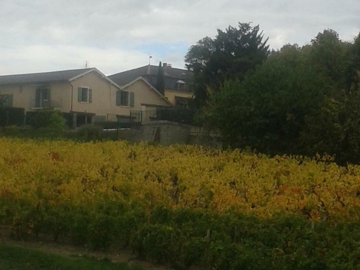 La Maison Des Vignes Charentay Exteriér fotografie