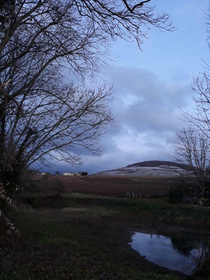 La Maison Des Vignes Charentay Exteriér fotografie