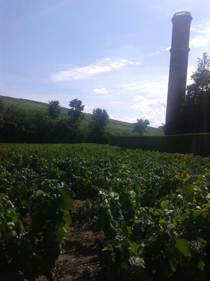 La Maison Des Vignes Charentay Exteriér fotografie