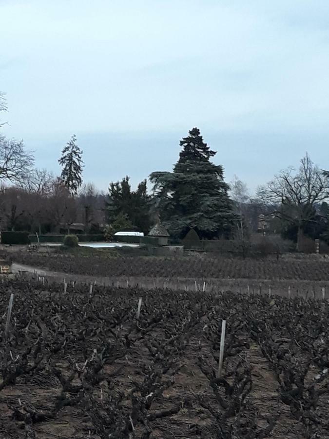 La Maison Des Vignes Charentay Exteriér fotografie