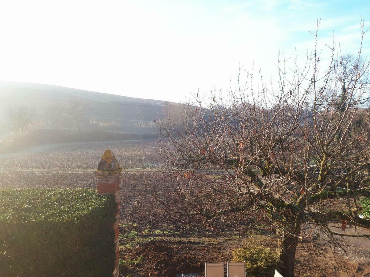 La Maison Des Vignes Charentay Exteriér fotografie