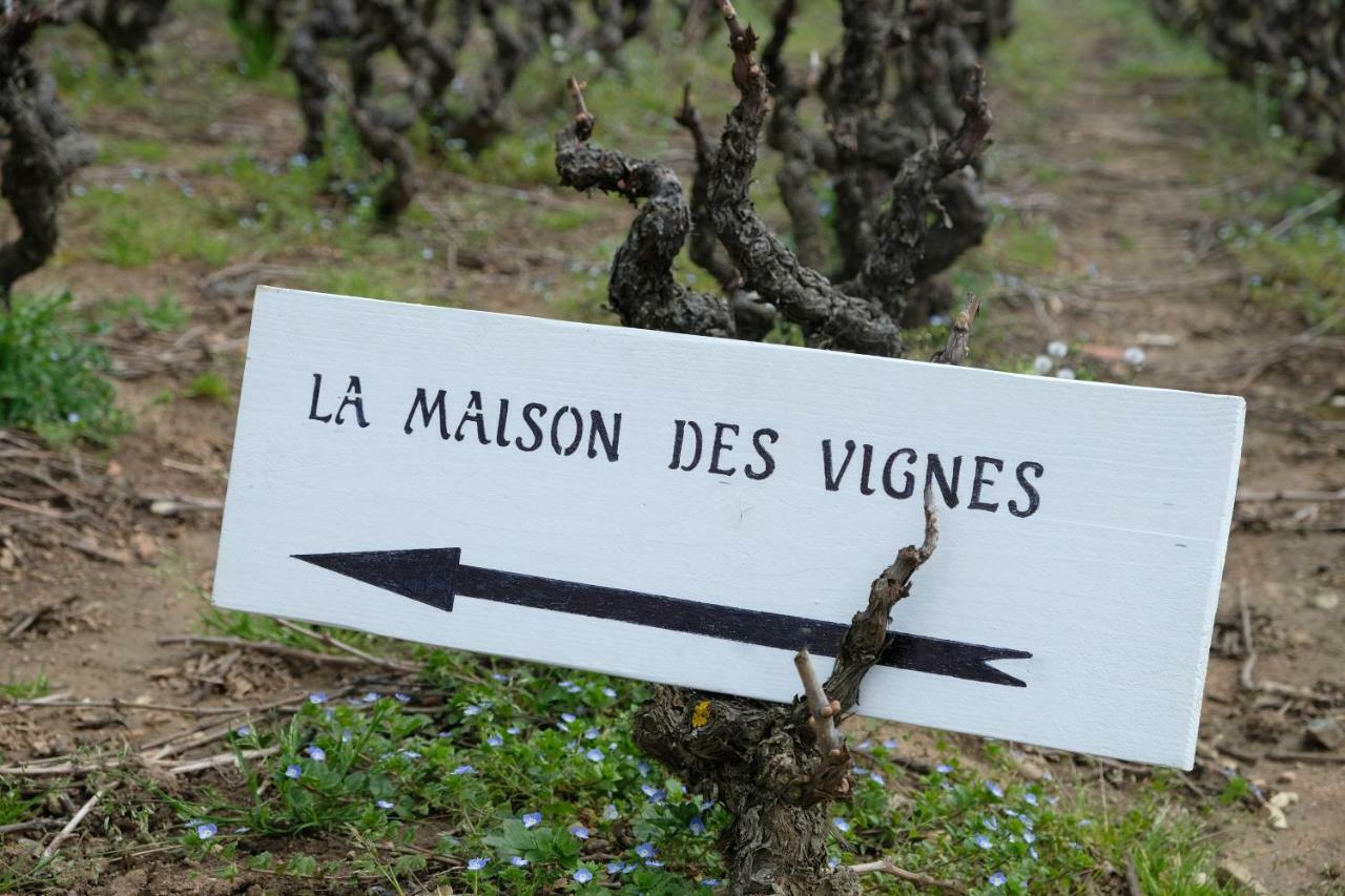 La Maison Des Vignes Charentay Exteriér fotografie