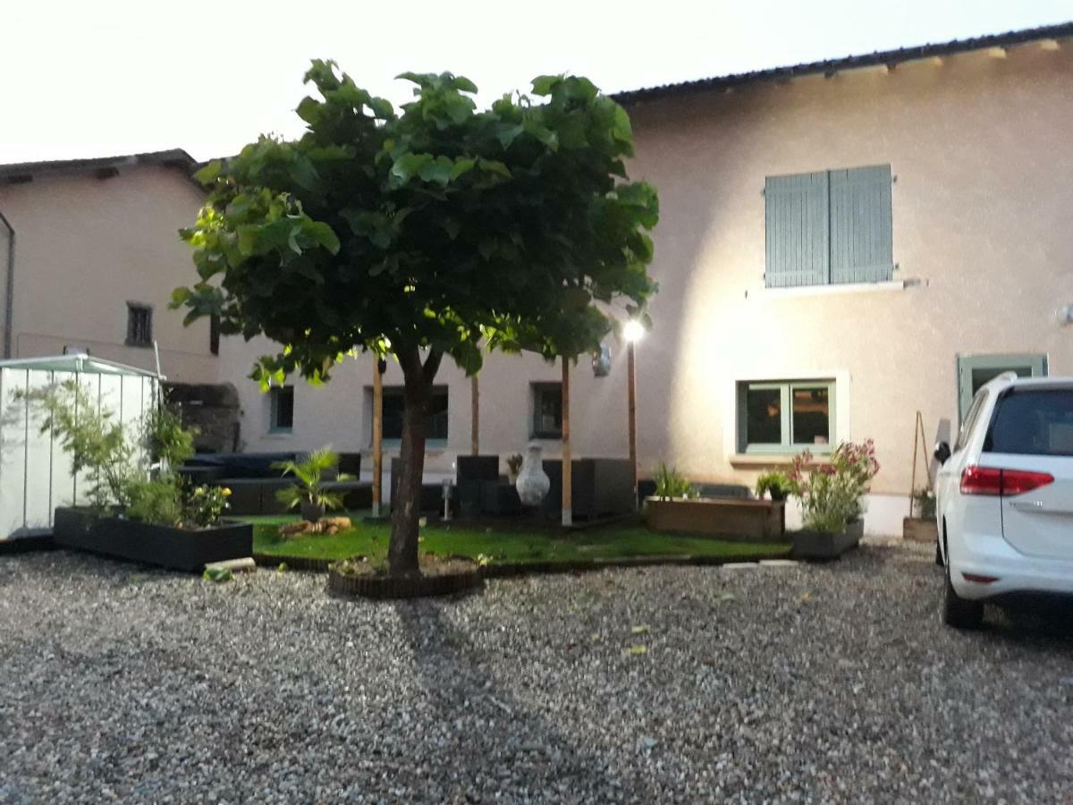 La Maison Des Vignes Charentay Exteriér fotografie